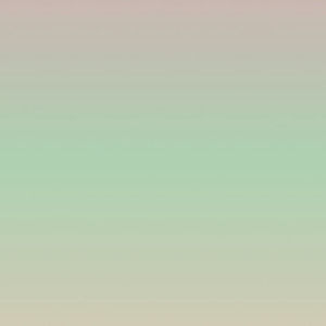 Meet your Posher, Natasha